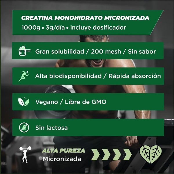 creatina monohydrato foodelis 2kg + shaker