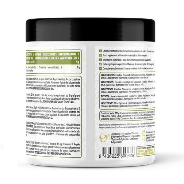 creatina monohydrato foodelis 300g mojito
