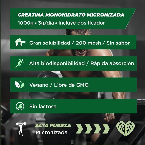 creatina monohydrato foodelis 3kg + shaker