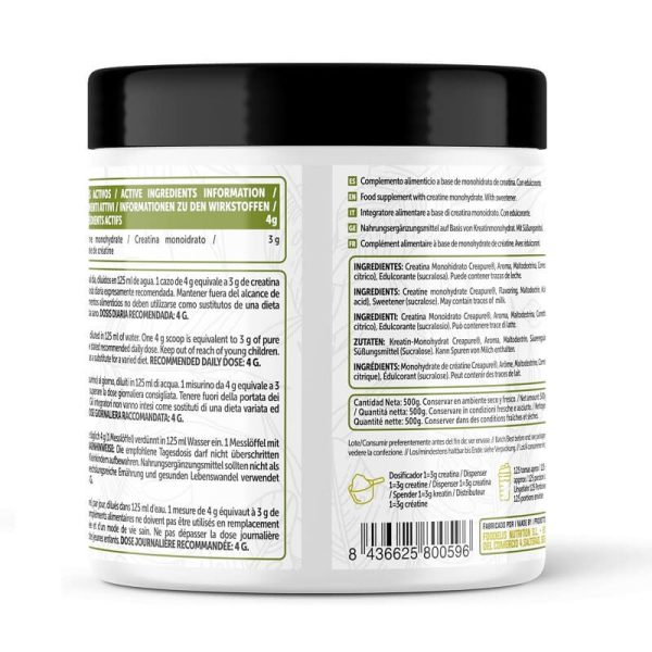 creatina monohydrato foodelis 500g mojito