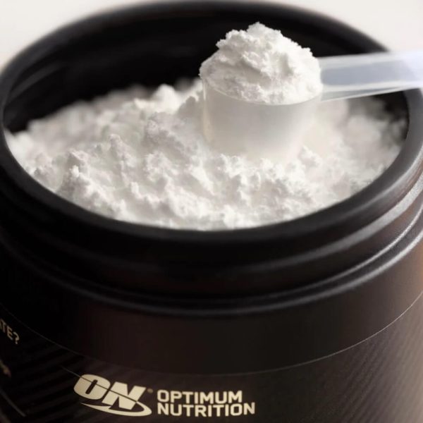 creatina monohydrato optimum nutrition 317g