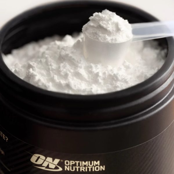creatina monohydrato optimum nutrition 634g