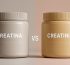 creatina vs creatinina