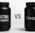 creatina creapure vs monohidrato