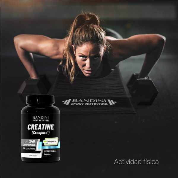 creatina monohidrato bandini 240 capsulas creapure