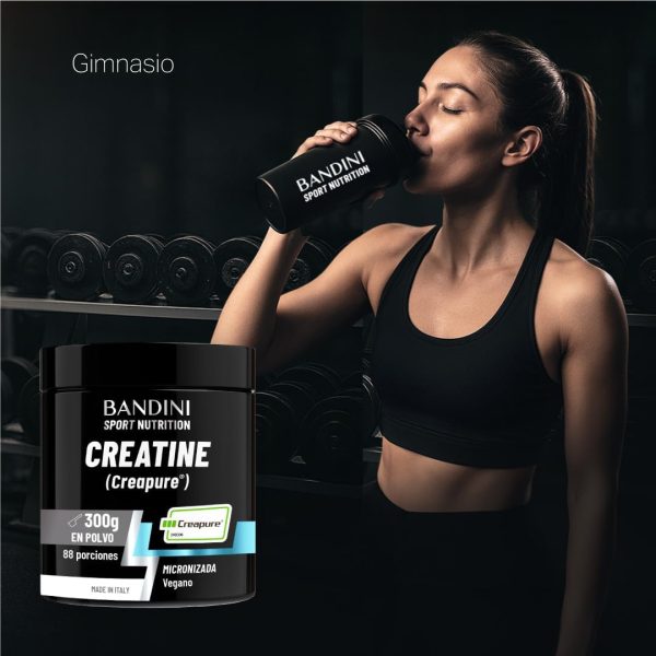 creatina monohidrato bandini 300g creapure