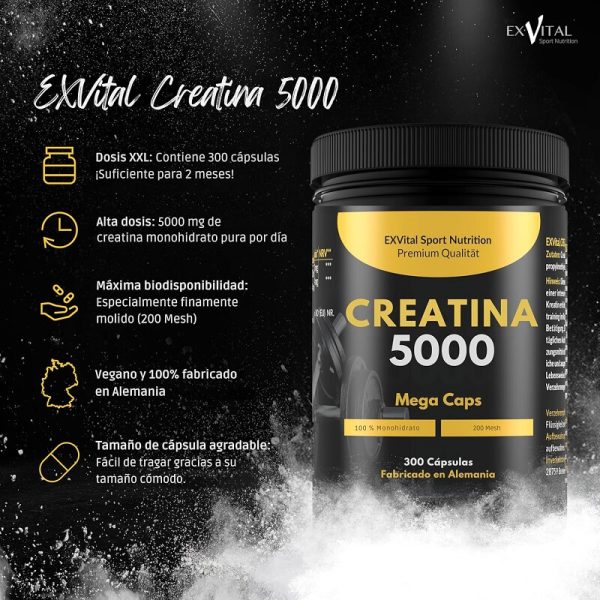 creatina monohidrato exvital 300 capsulas