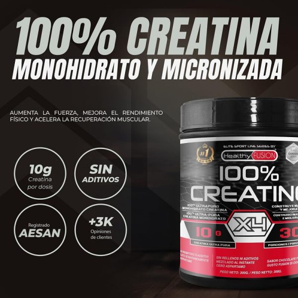 creatina monohidrato healthy fusion 300g chocolate