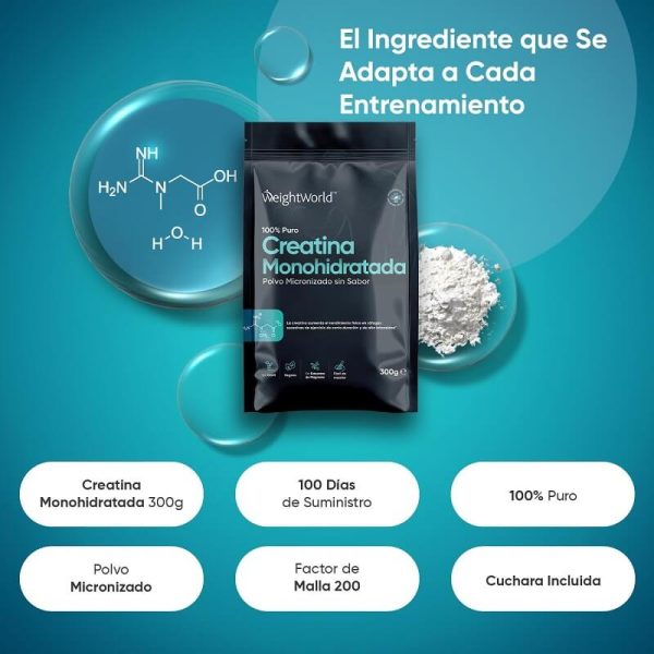 creatina monohidrato weightworld 300g